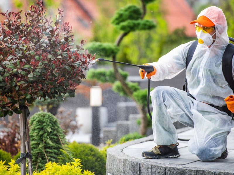 Bayraklı Haşere İlaçlama