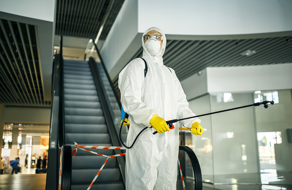 Bayraklı Haşere İlaçlama